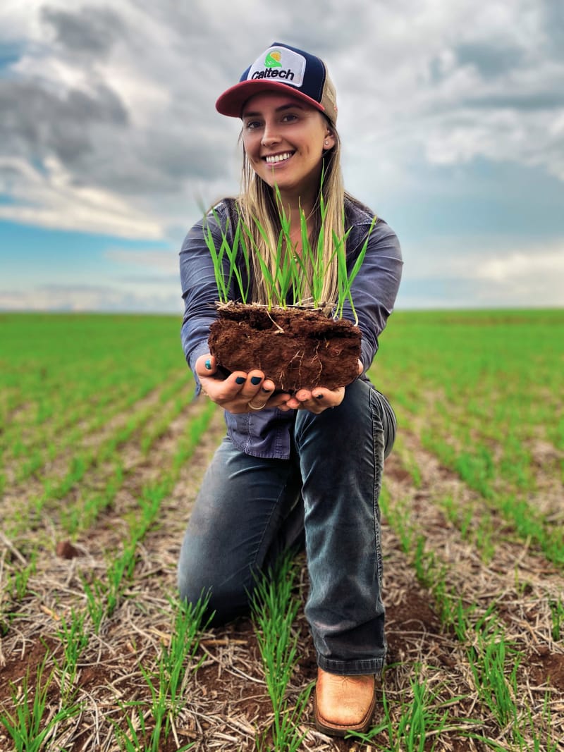 Plocher Humus Soil