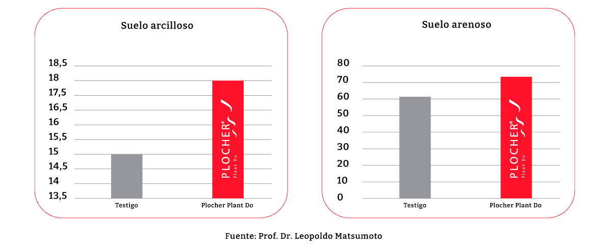 Resultados de micorrización: suelo arcilloso y arenoso
